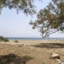 lolantonis-beach-12